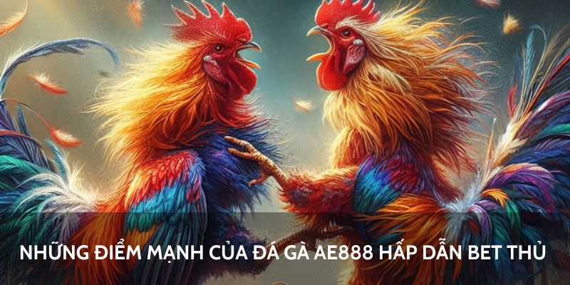 Đá Gà AE888 - Nơi Hội Tụ Các Trận Đấu Đẳng Cấp 5 Xem livestream đá gà chất lượng full HD