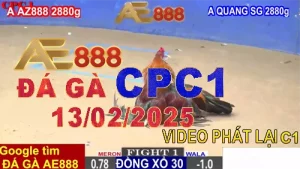 Video Xem lại Đá Gà Thomo CPC1 Hôm Nay 13/2/2025