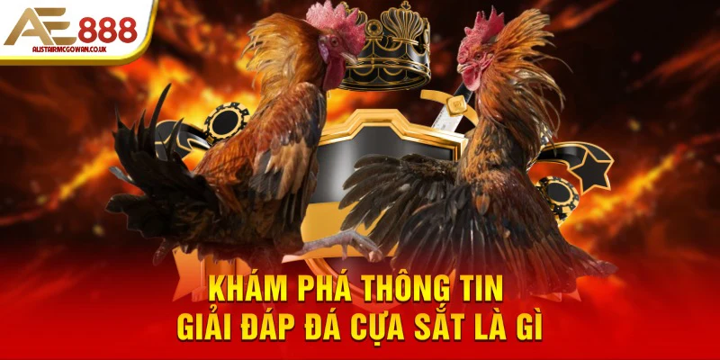 Khám phá thông tin giải đáp đá cựa sắt là gì