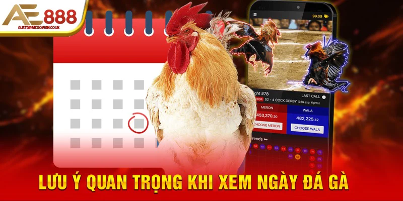 Bí Quyết Xem Ngày Đá Gà Hiệu Quả Tăng Cơ Hội Thắng Trận 6 Lưu ý quan trọng khi xem ngày đá gà