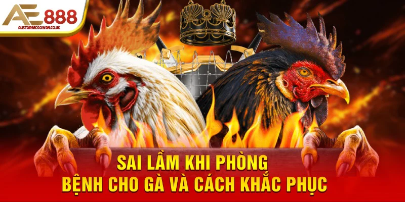 Sai lầm khi phòng bệnh cho gà và cách khắc phục